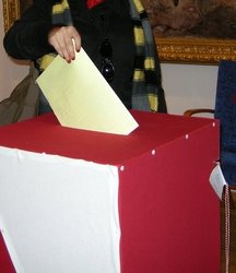 Wybory samorządowe - 2010
